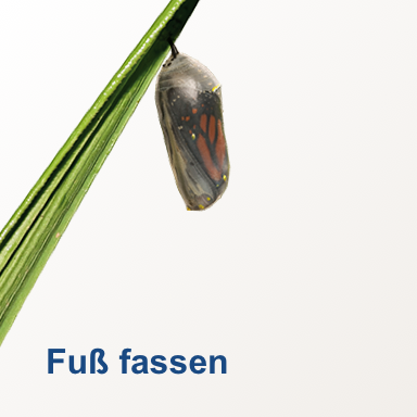 Das Finanzierungsnetzwerk