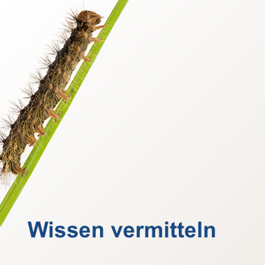Die NUK-Gründer-Akademie
